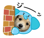 842689276