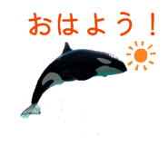 842689562