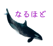 842689564