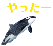 842689568