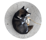 842689637