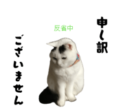842689642