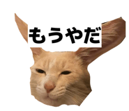 842689737