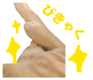 842689752