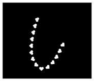 842689764