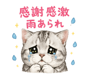 842689907