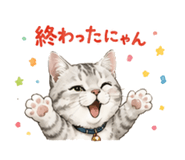842689925