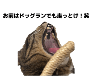 842689964