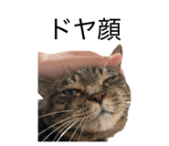 842689965