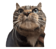 842689968