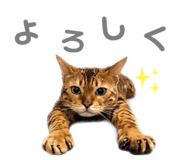 842690082