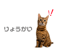 842690090