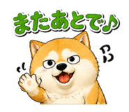 842690107