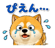 842690110