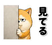 842690113