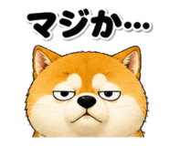 842690117