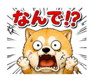 842690118