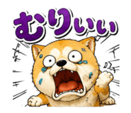 842690124