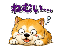 842690127