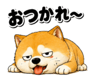 842690129