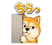842690136
