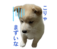 842690311
