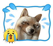 842690318