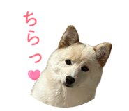 842690319