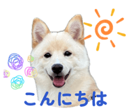 842690322