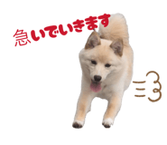 842690326