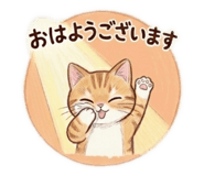 842690376