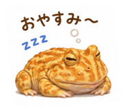 842690430