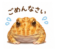 842690431
