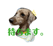 842690748