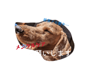 842690751