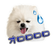 842691069