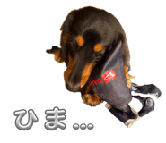 842691562