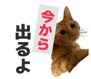 842691910