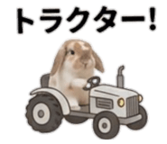 842691939