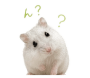 842691986