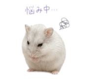 842691990