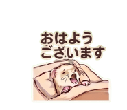 842692297