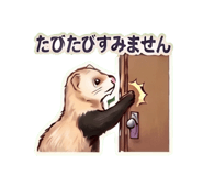 842692303