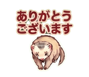 842692317