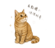 842693155
