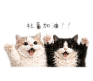 842693245