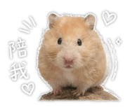 842693257