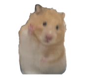 842693272