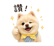 842693357