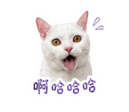 842693589